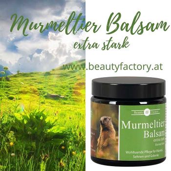Murmeltier Balsam extra stark - Beauty Factory